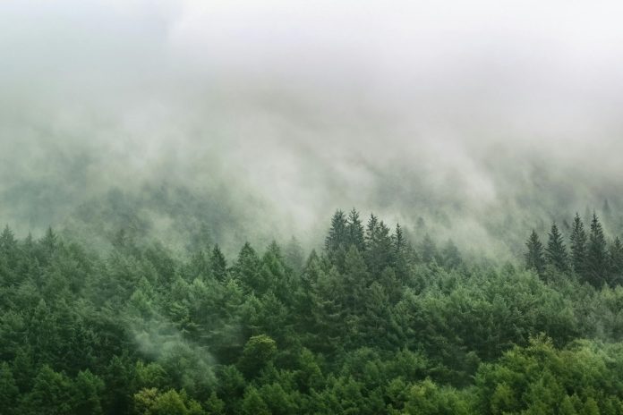 Zasavsko leto 2025 – november 2025