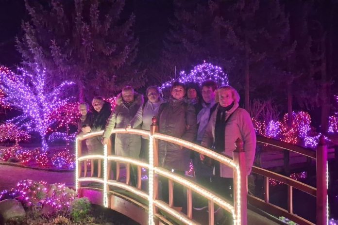 Praznični Mozirski gaj