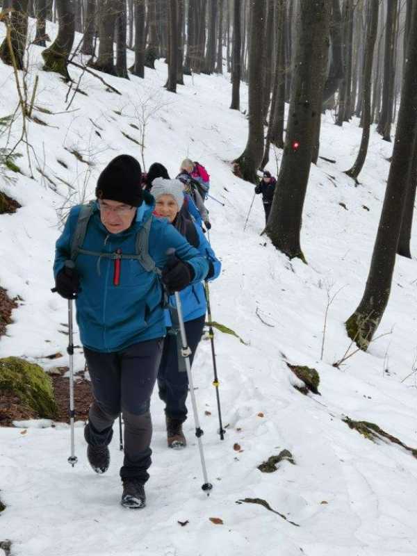 Dolani na Čemšeniški planini
