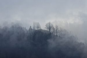 Sanjski svet Zelene trave