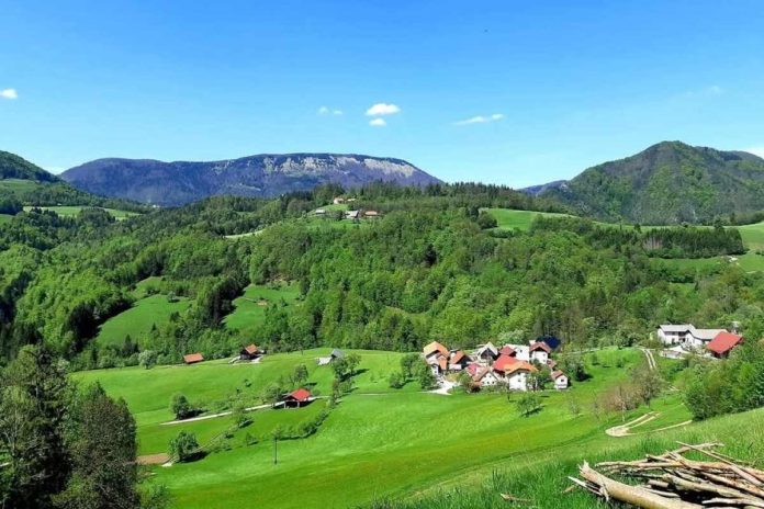 KS Kisovec–Loke v letu 2025