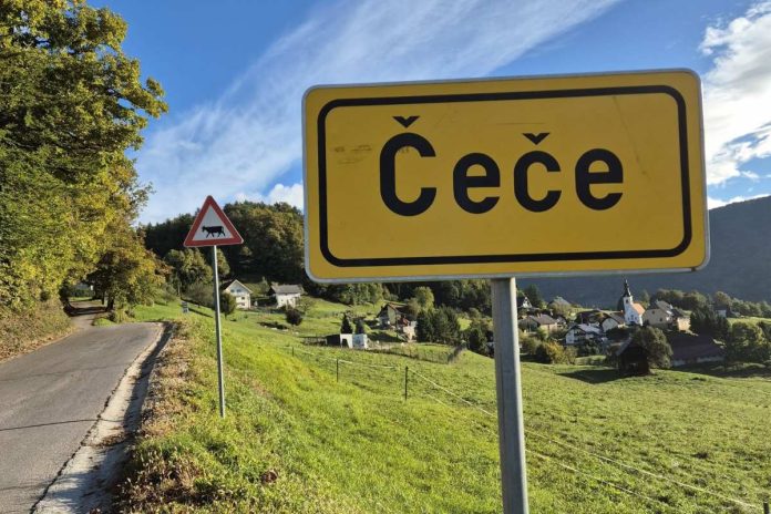 Obnova cest v Čečah