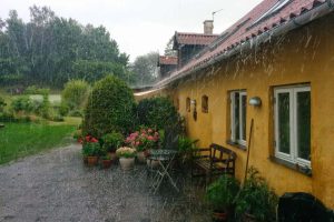 Ocena škode kmetijskih pridelkov