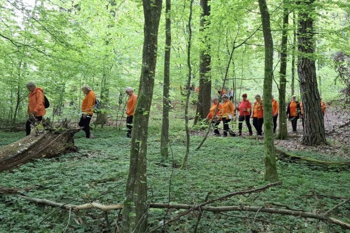 Najpreprostejša oblika gibanja z največjo močjo
